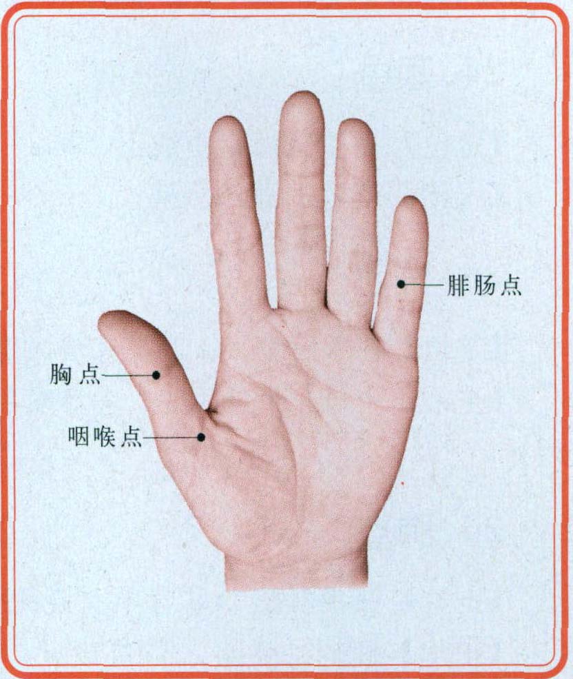 二、手針穴反射點